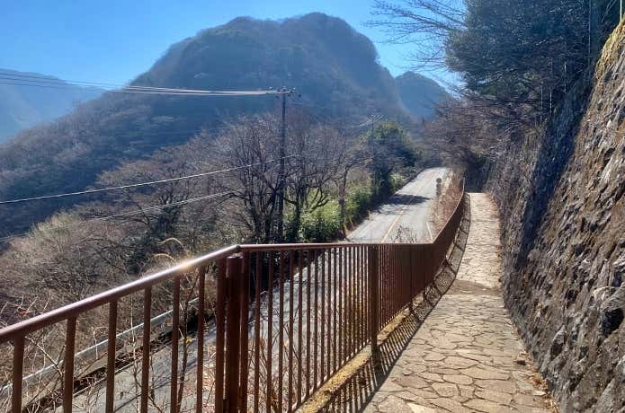 県道沿いの歩道