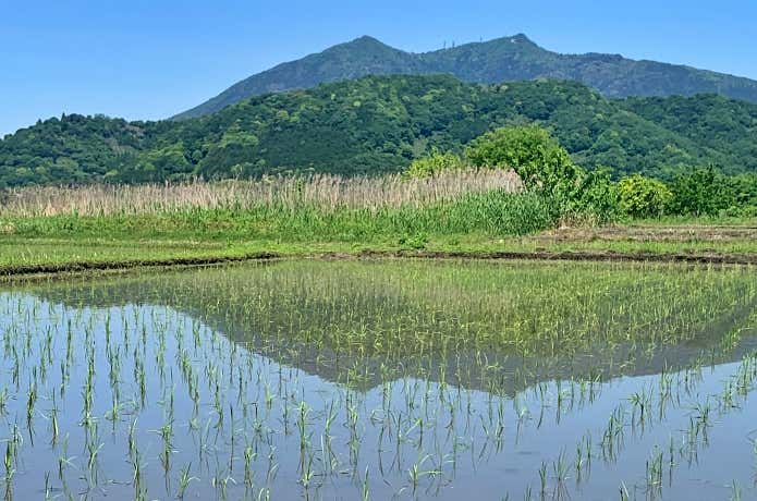 低山ながら隠れた名山の宝庫！？茨城県の山おすすめ8選