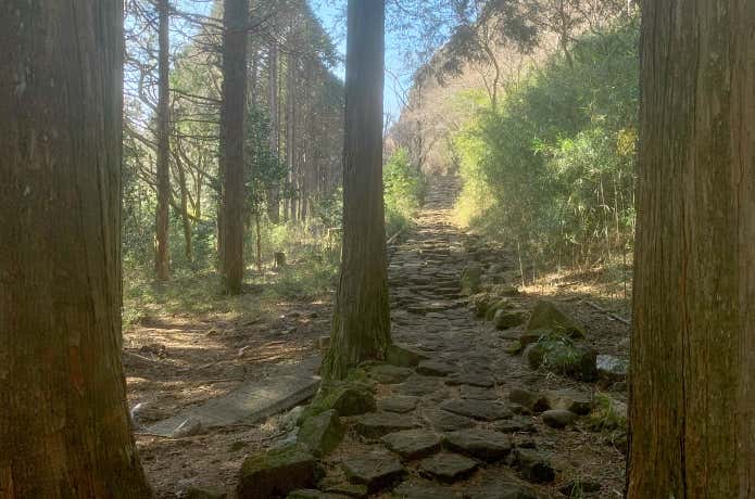 甘酒茶屋裏手の石畳