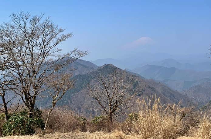 塔ノ岳コースガイド｜昼食は名物のアレ！鍋割山縦走コース