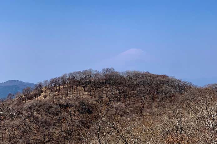 鍋割山と富士山