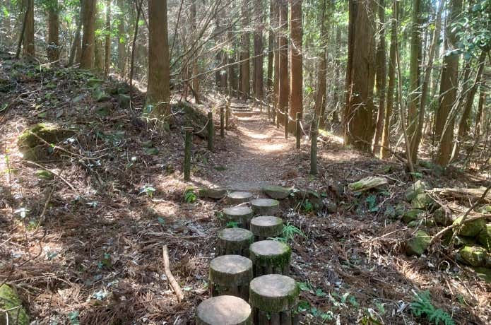須雲川自然探勝歩道