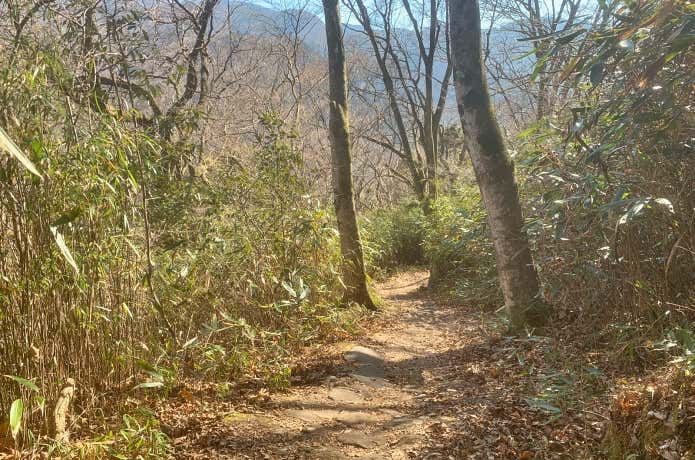 笹原の中の猿滑坂