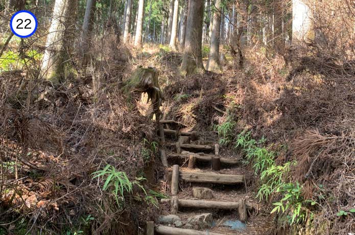 後沢乗越への登山道