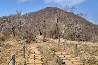 大倉尾根コース