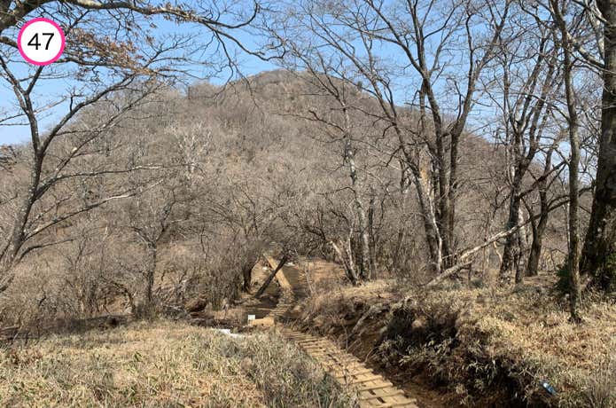 塔ノ岳の眺望