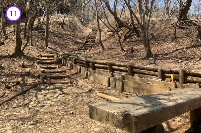 広葉樹林帯の階段