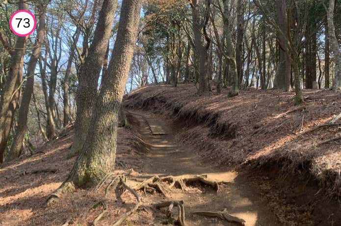 堀山への登り