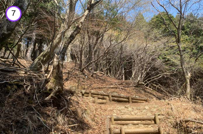 階段が続く登山道