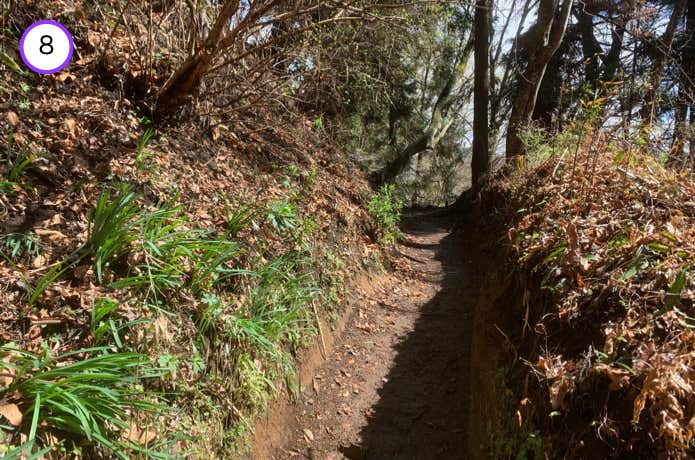 洗堀状の登山道