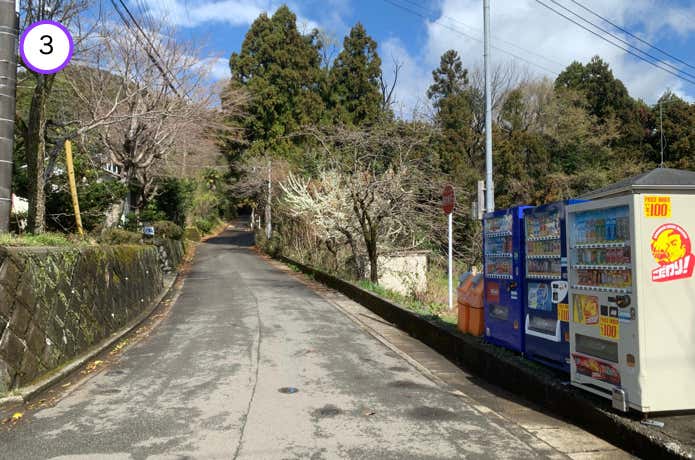 大倉尾根登山口