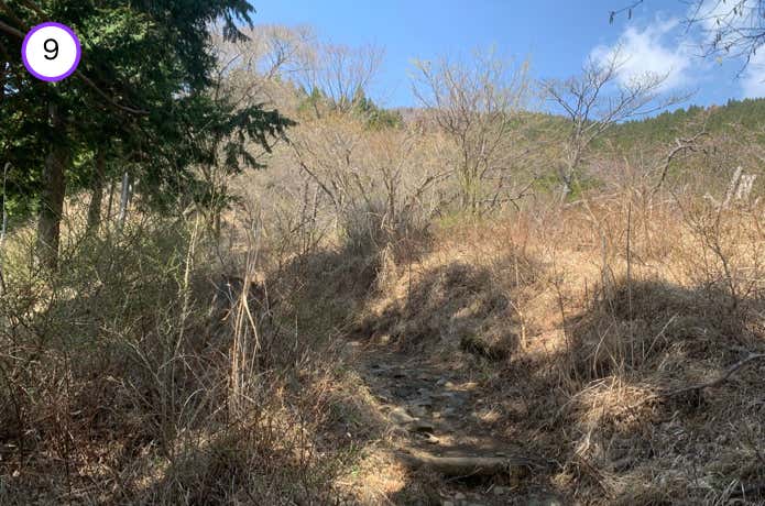 二ノ塔への登山道