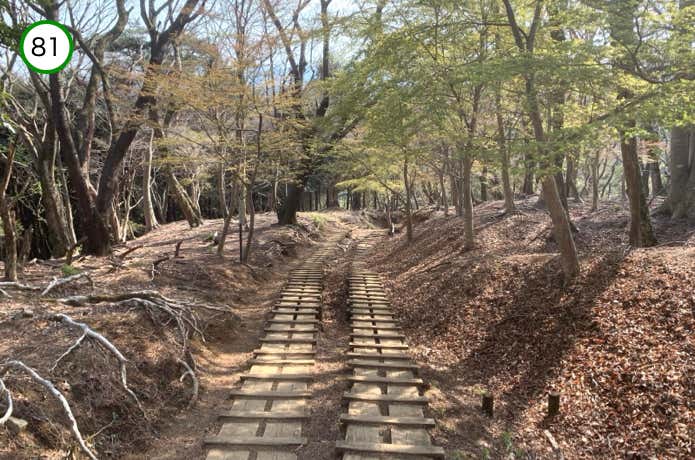 平坦な木道