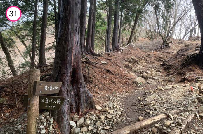 堀山の家前