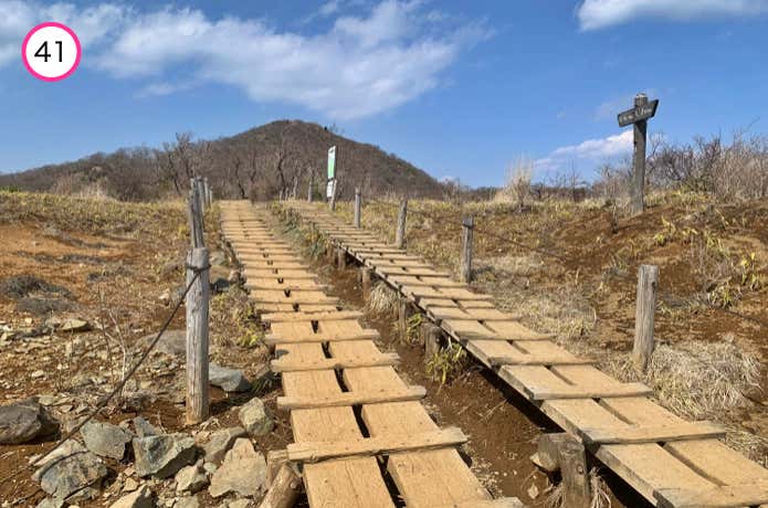 花立ノ頭から望む塔ノ岳