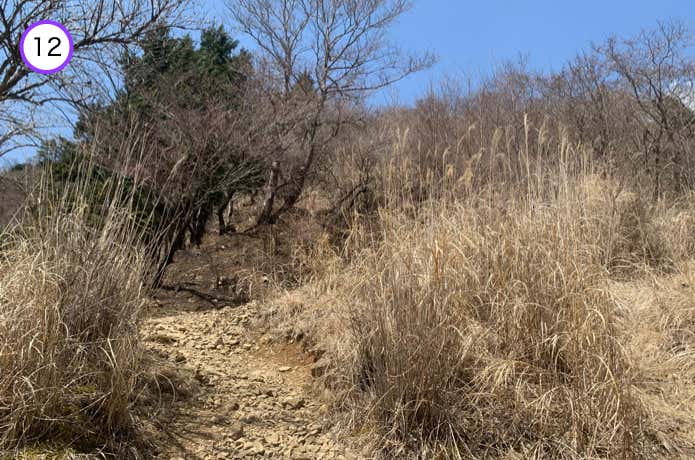二ノ塔への登り