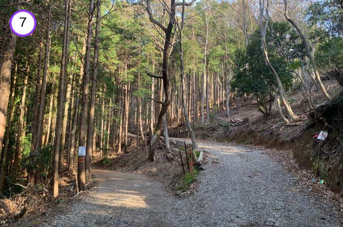 分岐