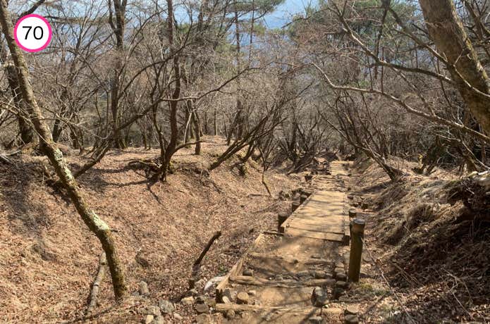 天神尾根分岐からの下り