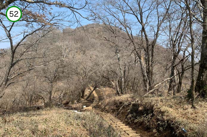 大倉尾根の木道
