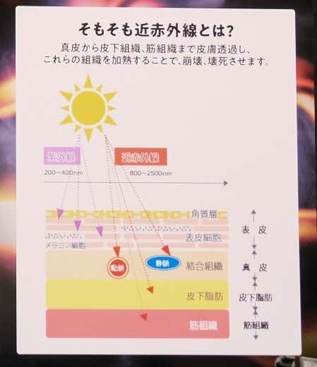 エックスシェルター　近赤外線遮へい率 約64％