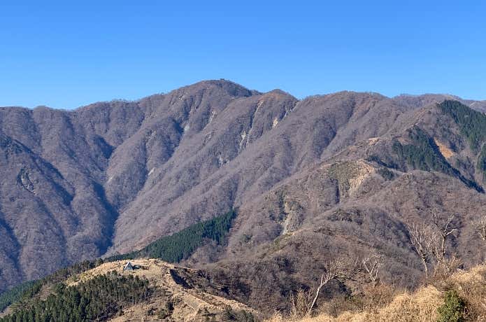 表尾根から望む塔ノ岳