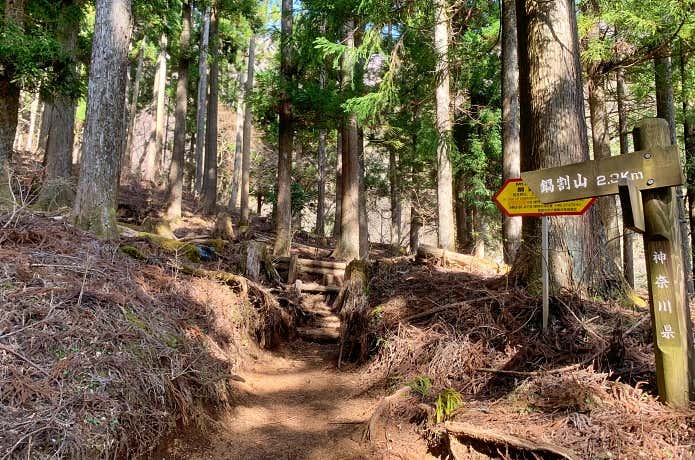 後沢乗越への登山道