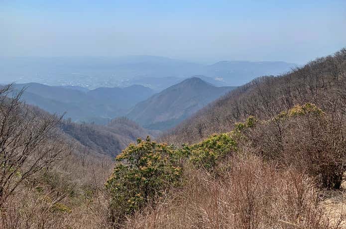 箱根の山々