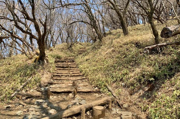 塔ノ岳・大倉尾根は階段や木道が整備され初心者でも歩きやすい