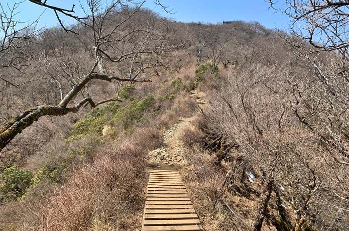 表尾根から望む塔ノ岳