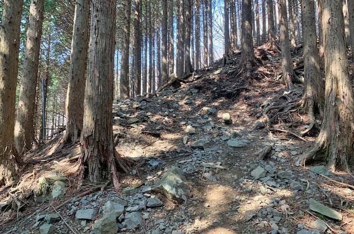 急登が続く政次郎尾根