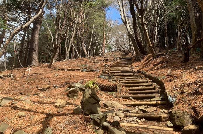 大倉尾根の階段