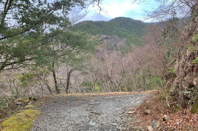 西山林道から望む小丸尾根