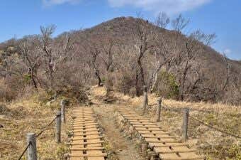 塔ノ岳コースガイド｜まずはココ！最もポピュラーな大倉尾根コース