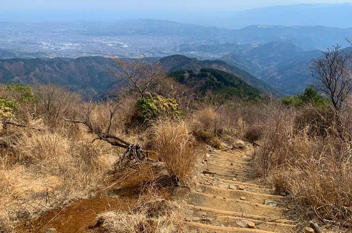 大倉尾根の下り