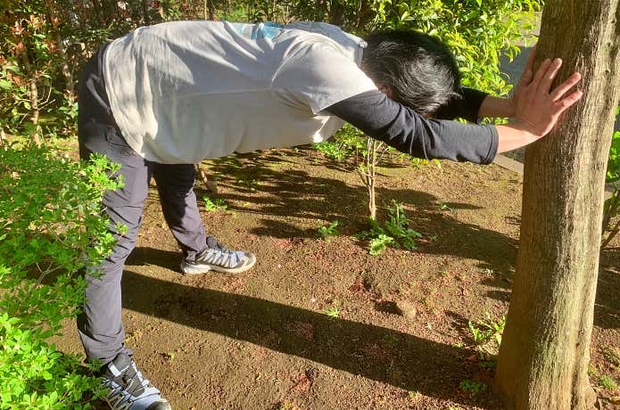 背中〜腰を伸ばす運動