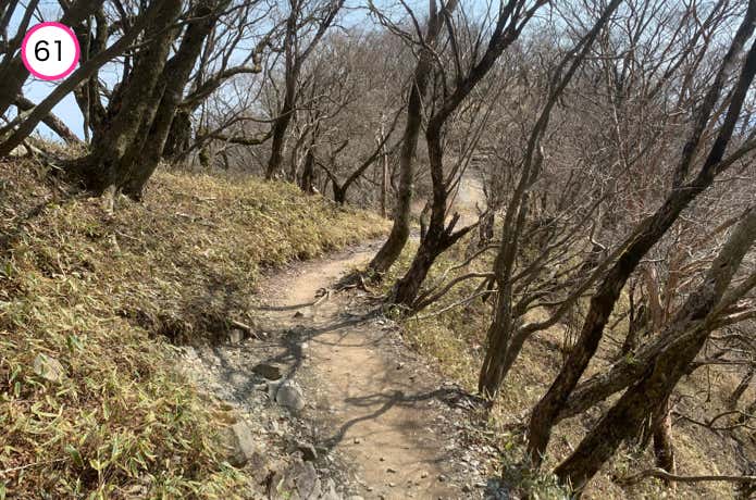 花立ノ頭への登り返し