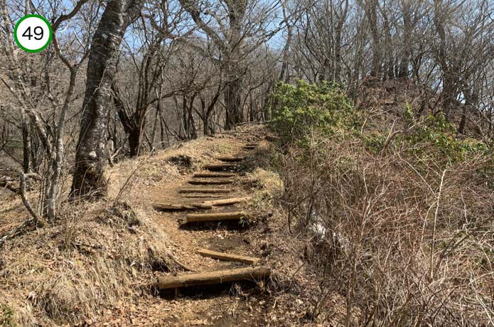 大倉尾根への登り返し