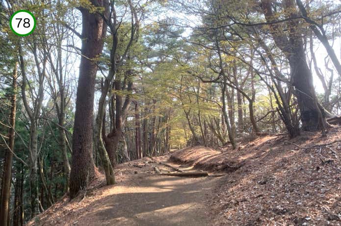 平坦な稜線