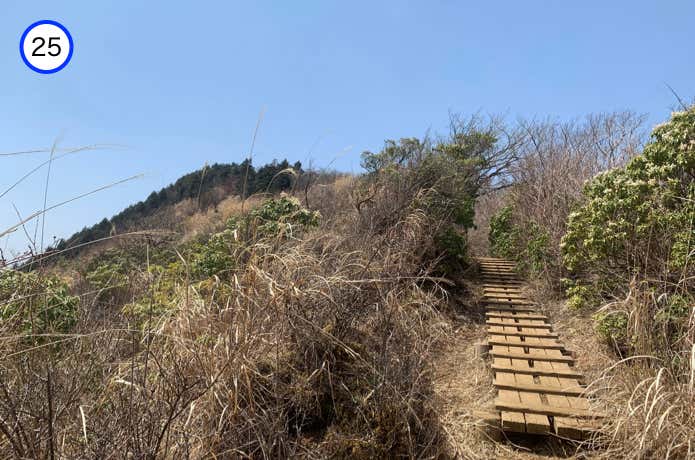 木道を登る