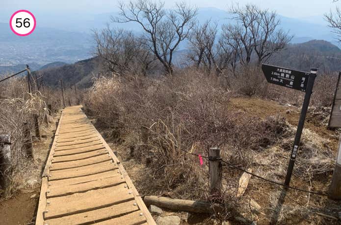 塔ノ岳からの下り