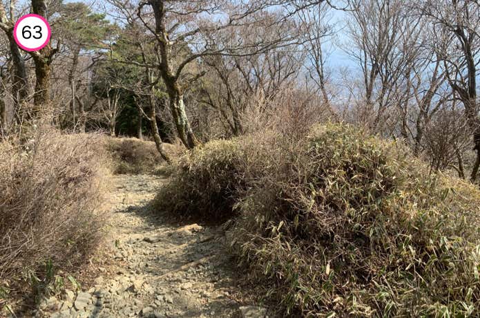 花立ノ頭からの下り