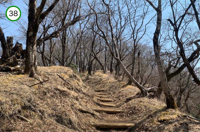 登り返し