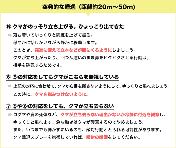 突発的な遭遇(距離約20m〜50m)