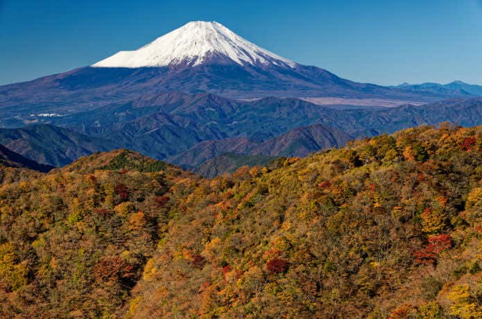 鍋割山の紅葉と富士山