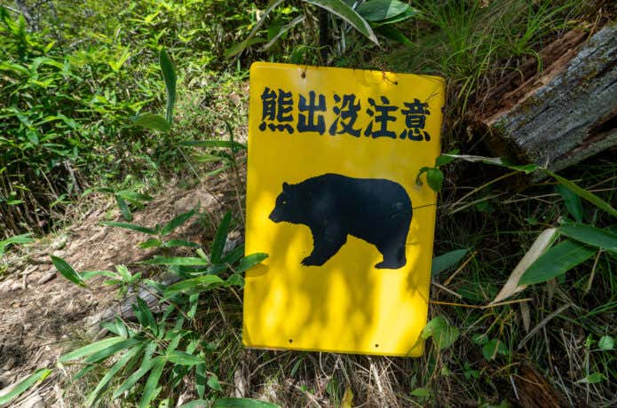 クマ出没注意