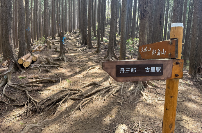 丹三郎尾根