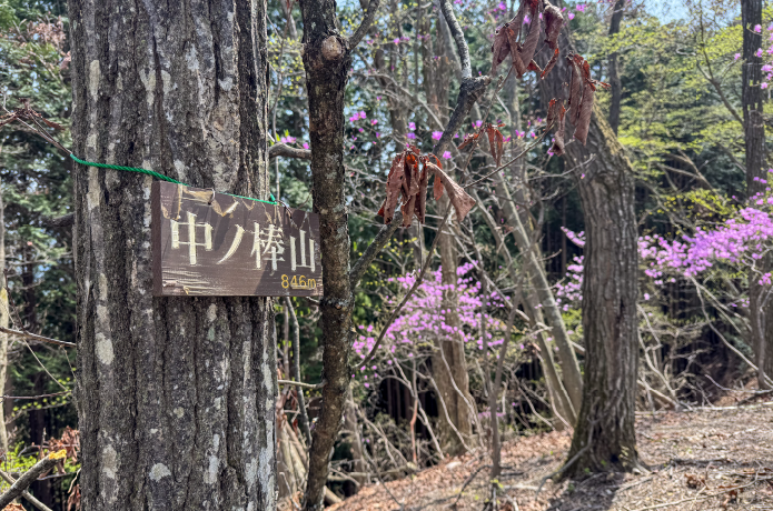 中ノ棒山の山頂標識