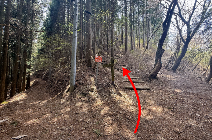 大塚山山頂直下の分岐