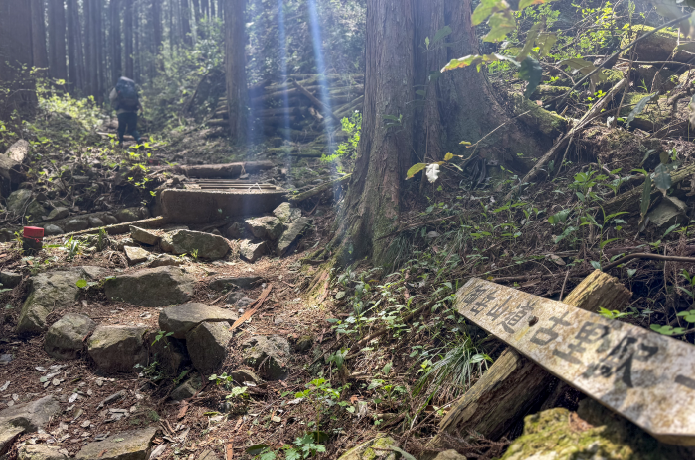 御岳山への登山道