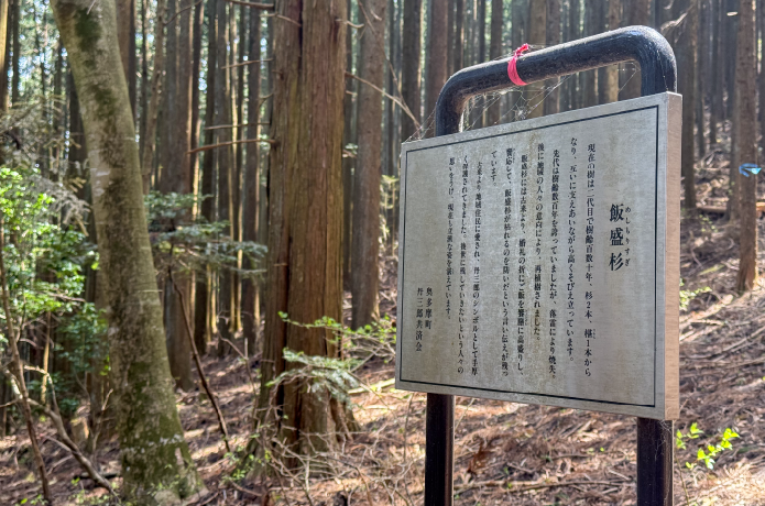 飯森杉の看板